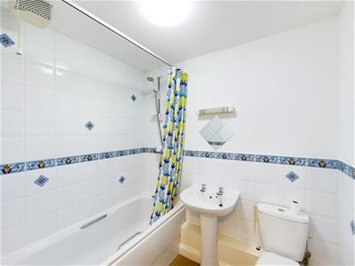 Picture 7